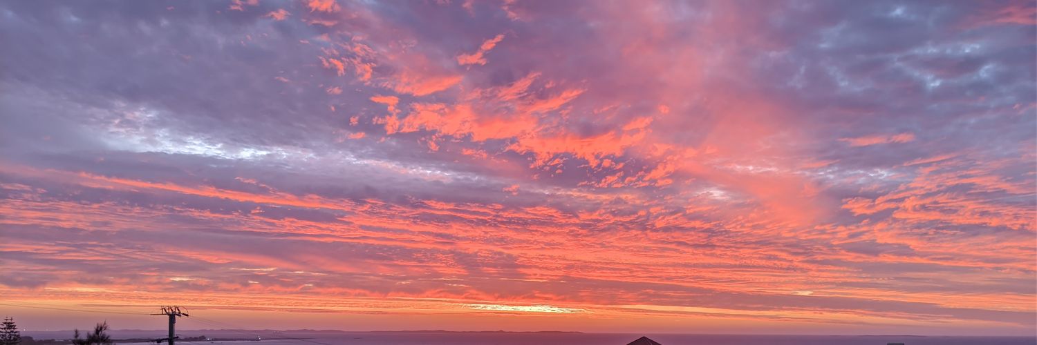 Philip Routley banner