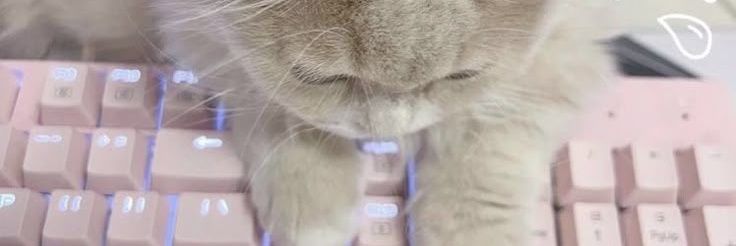 cijkak's profile banner image