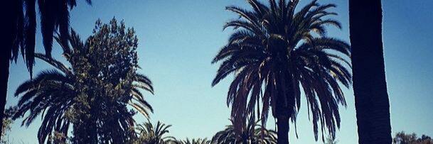 fonfyfb's profile banner image