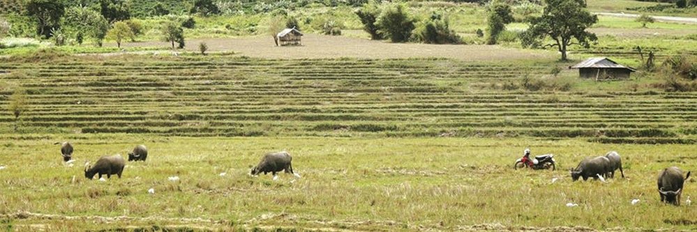 nghiaweb's profile banner image