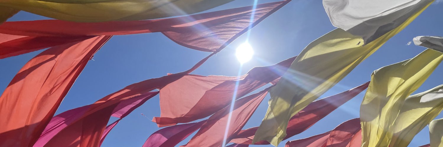 🐰こんさま🐰 banner