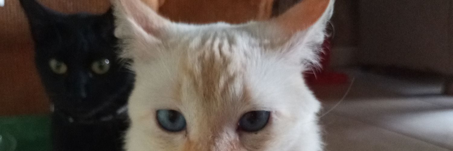 psfabiih's profile banner image