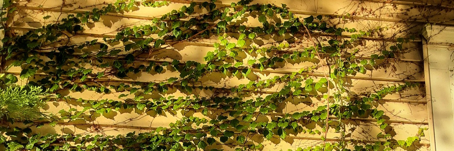 Devbuza's profile banner image