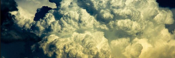 bartlol Profile Banner