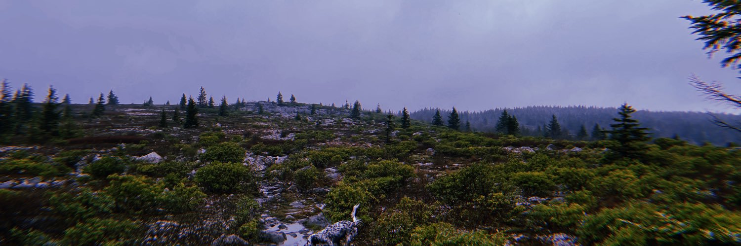 branderbro's profile banner image
