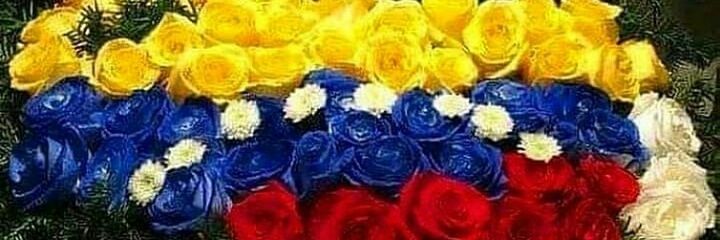 Alesan_Bar's profile banner image