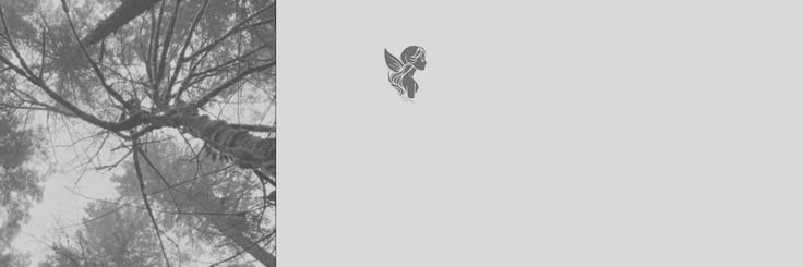 ennavier's profile banner image