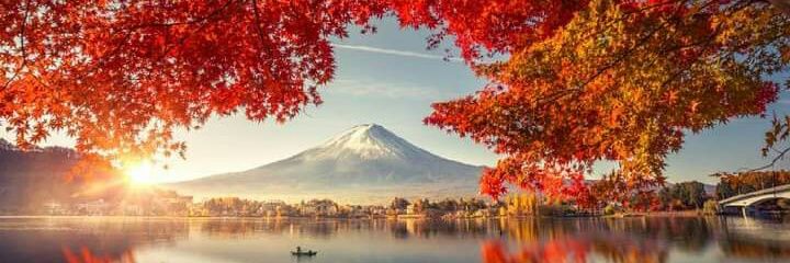 sanjeeva3311's profile banner image