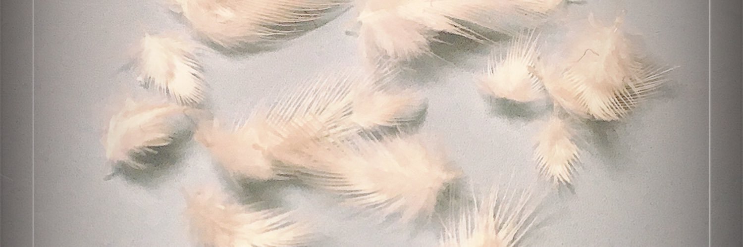 rapi0608's profile banner image