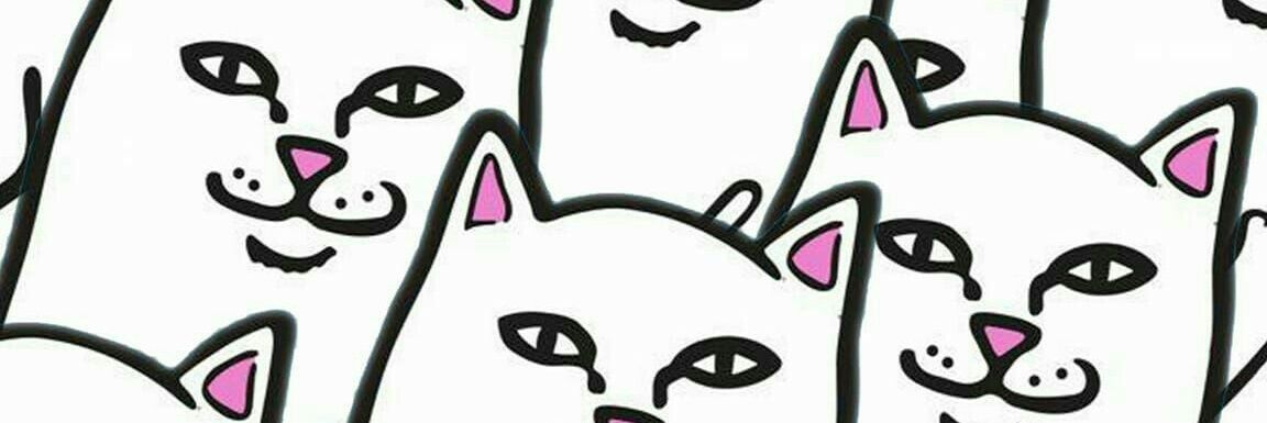 mmewmiu's profile banner image