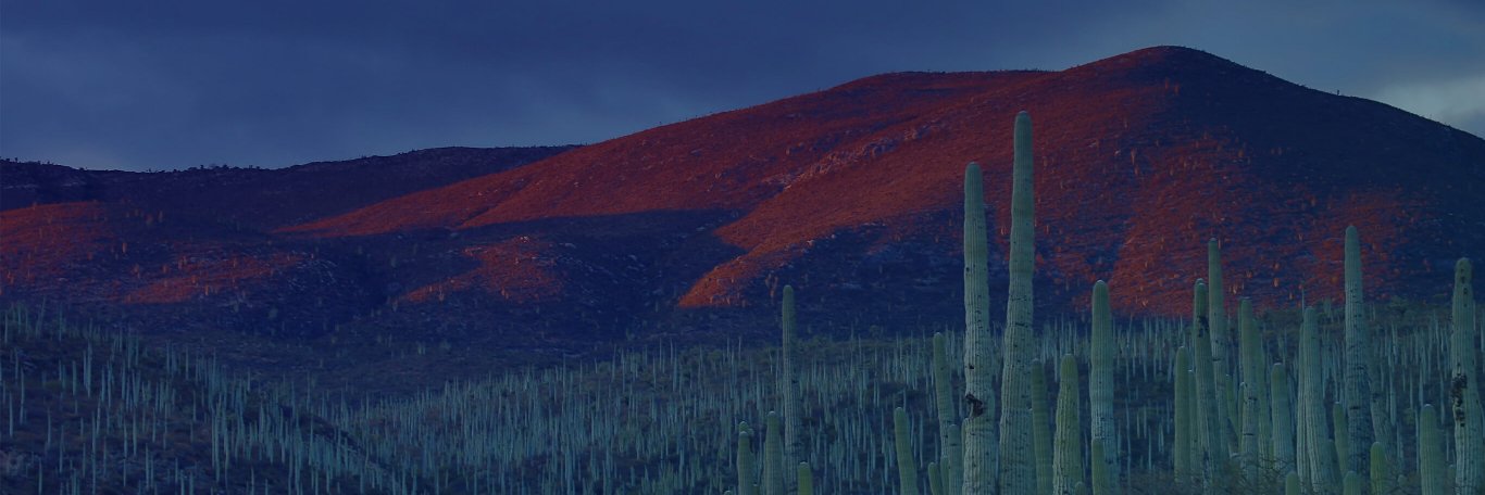 fernandomtza's profile banner image