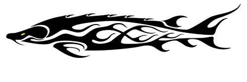 KennethKlowe's profile banner image