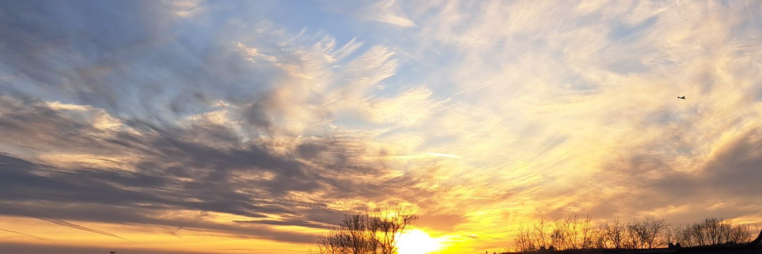 Justin (Toxic Stove) Cody banner