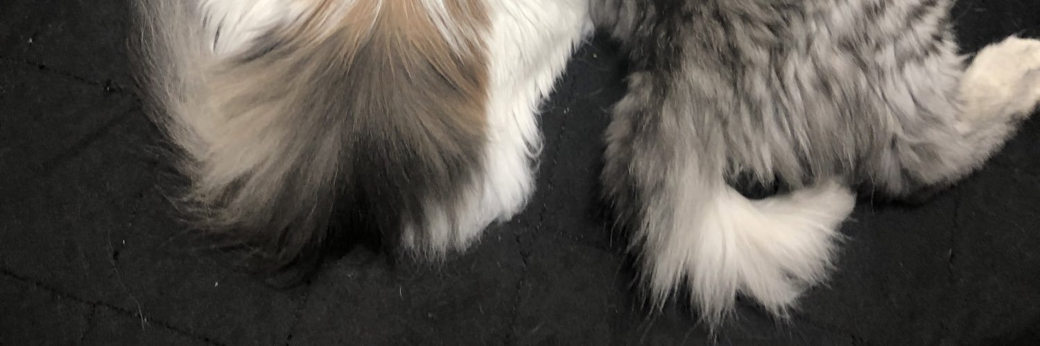 deli_imo's profile banner image