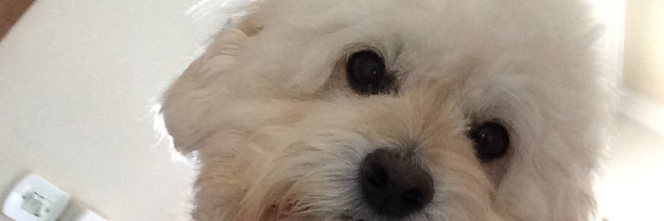 celsomzane's profile banner image