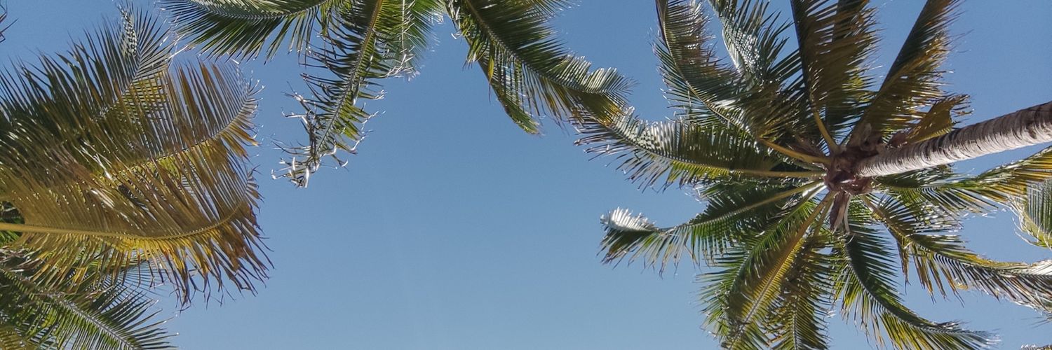 fernanda banner