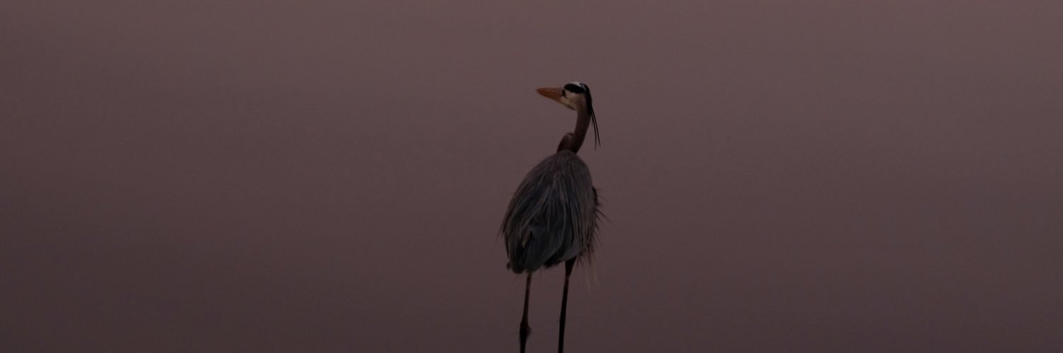 jaydehoban's profile banner image