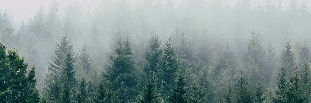 mstep24's profile banner image