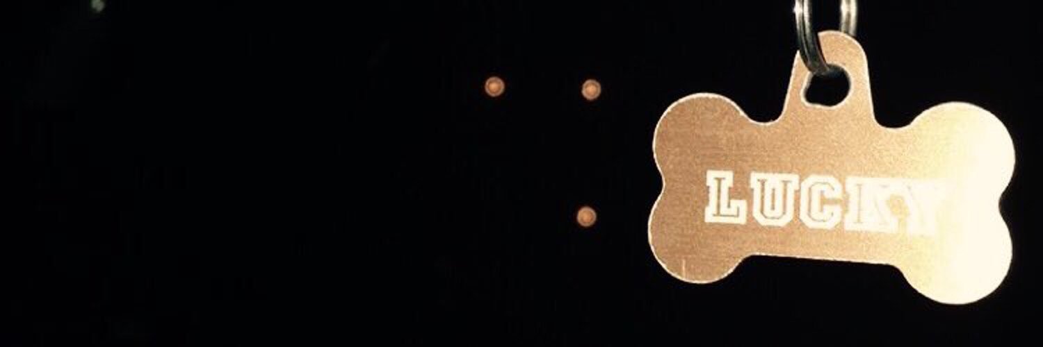 androgynousbran's profile banner image