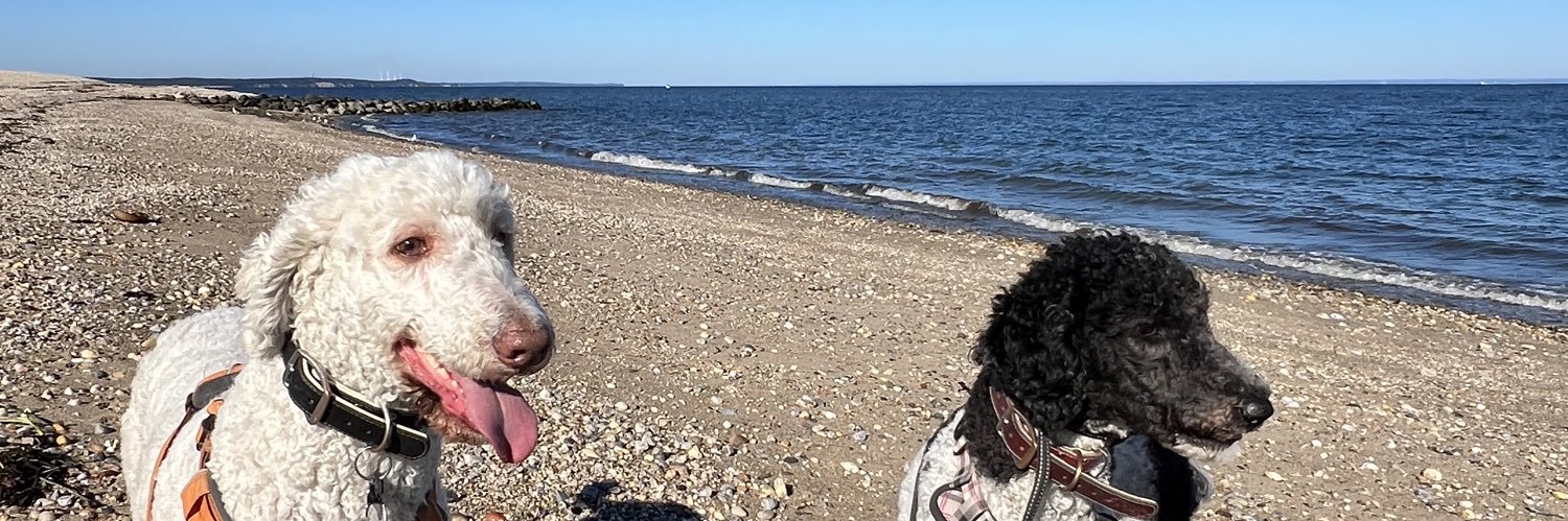 🇺🇸Matty 🇺🇸 banner