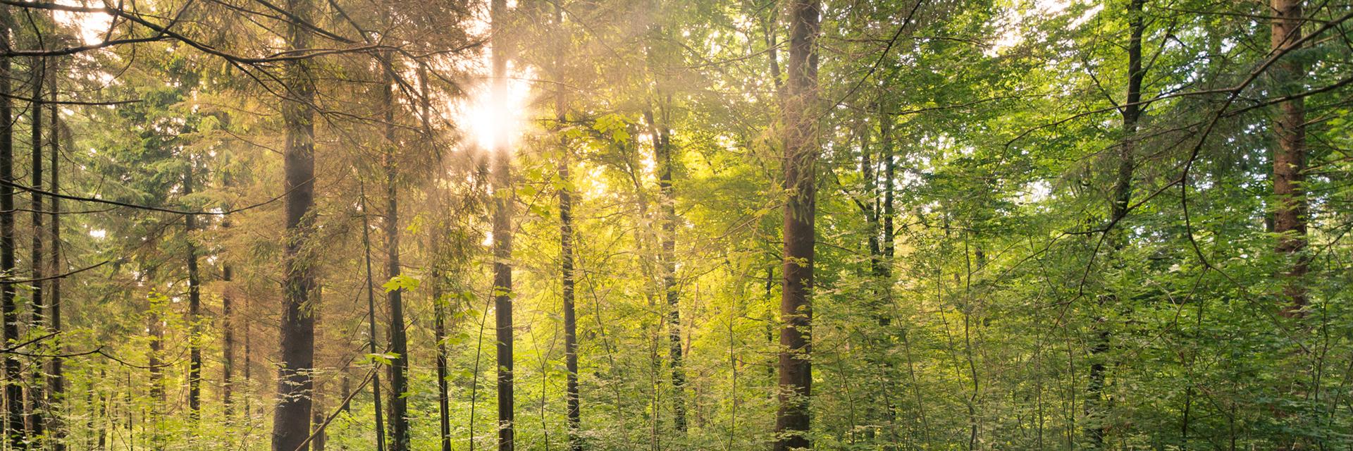 Fresno County, CA banner