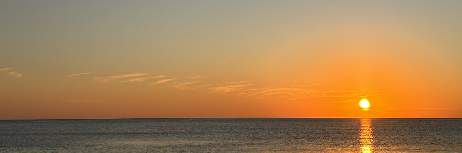 nedike's profile banner image