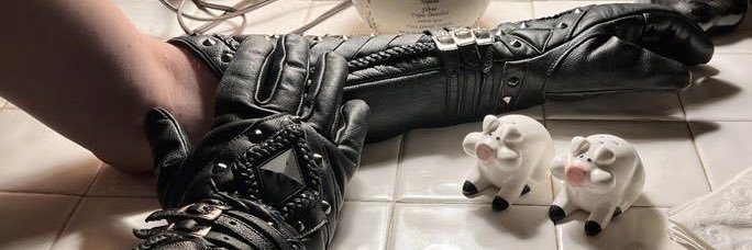 SeanAllen69XXX's profile banner image