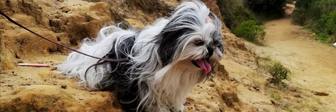 Angiemps_'s profile banner image