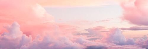 _sofiablanca's profile banner image