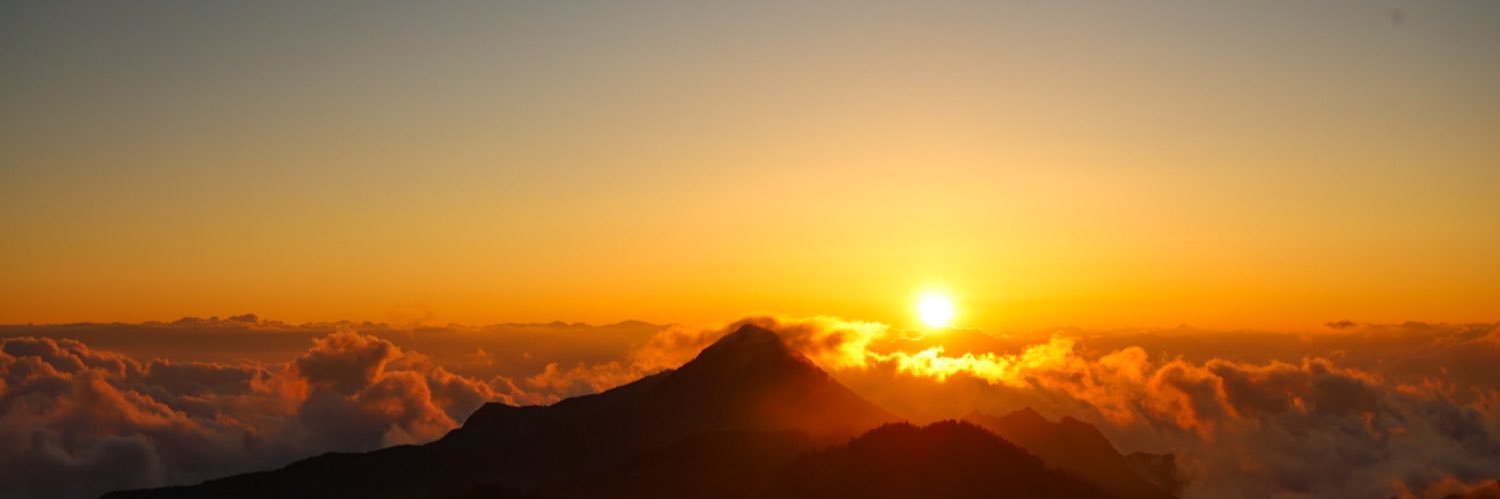 たまくま banner