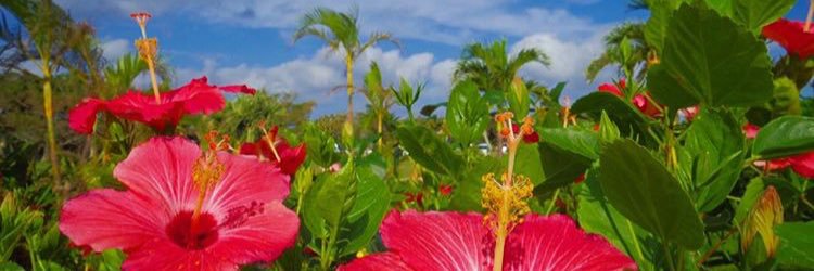 mpochn_bknb's profile banner image