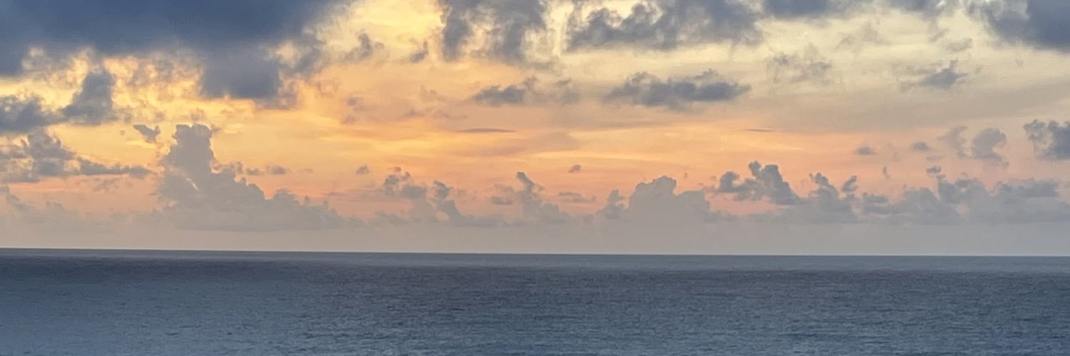 lilibetthhh's profile banner image