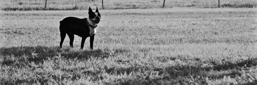 KaciChapman's profile banner image