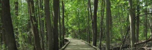 datgtatrailsguy Profile Banner