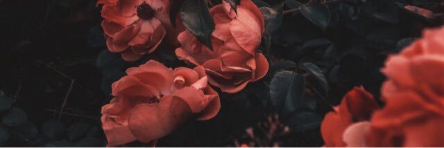 SamInMoscow's profile banner image