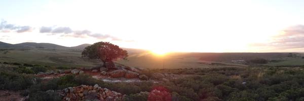 SkyeJenner Profile Banner