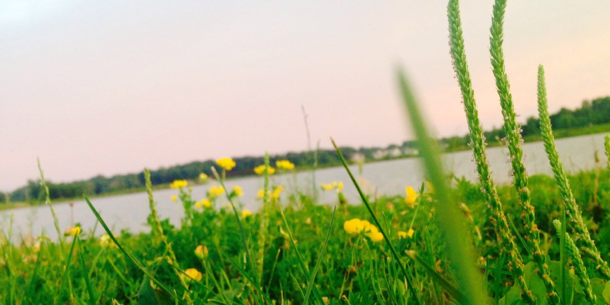 sararockow's profile banner image