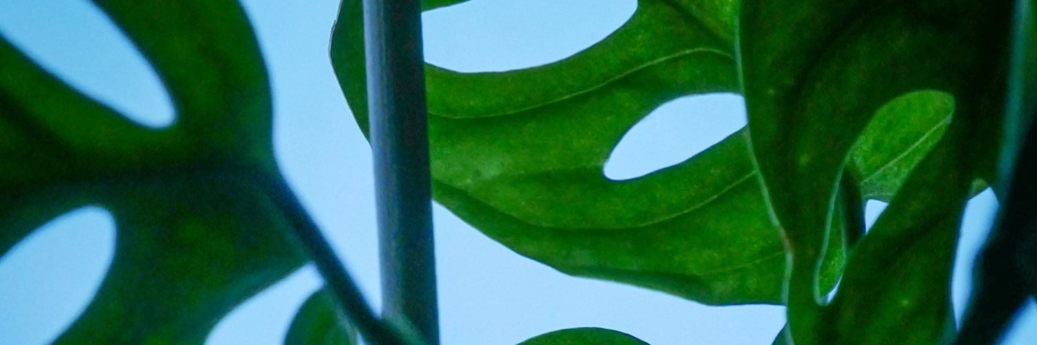 alexupnorth's profile banner image