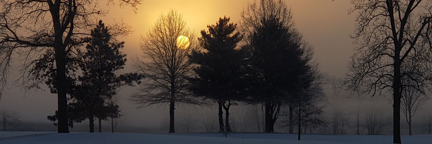 Snarky Izzbliss banner