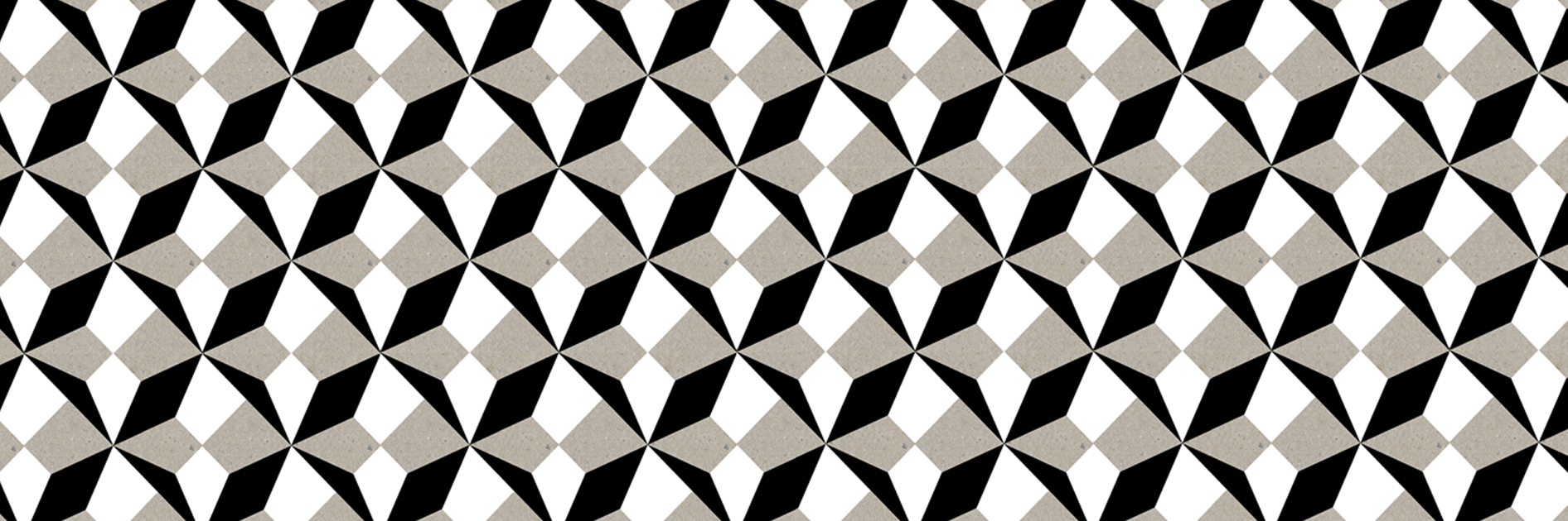 Morgan Colosimo banner