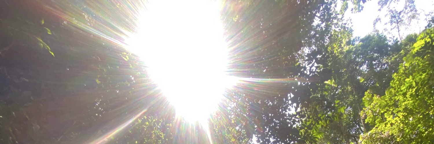lacttate's profile banner image