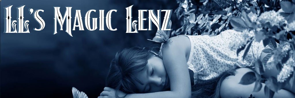 LLsMagicLenz's profile banner image