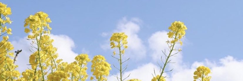 mg7324k's profile banner image
