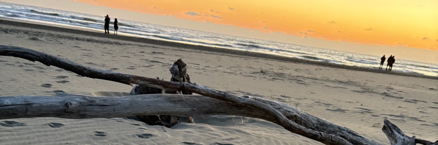 ✂︎のりぃ✂︎n*熊本美容師 banner