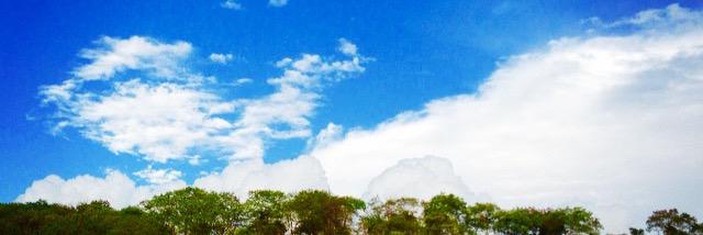 siddshahane's profile banner image