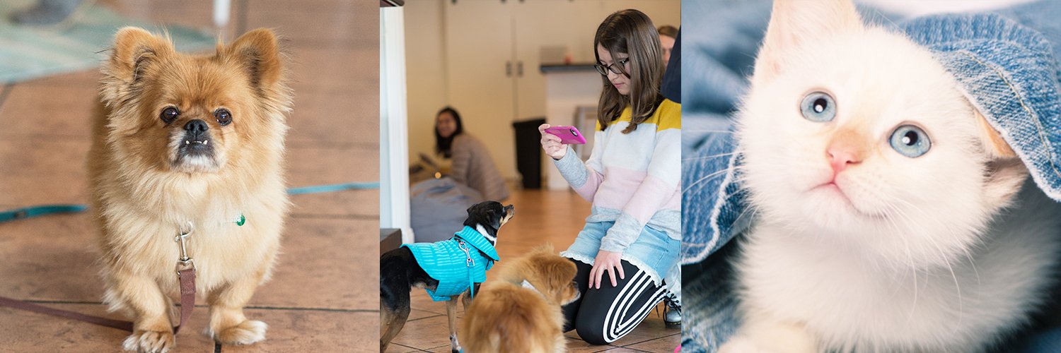 svpetproject's profile banner image