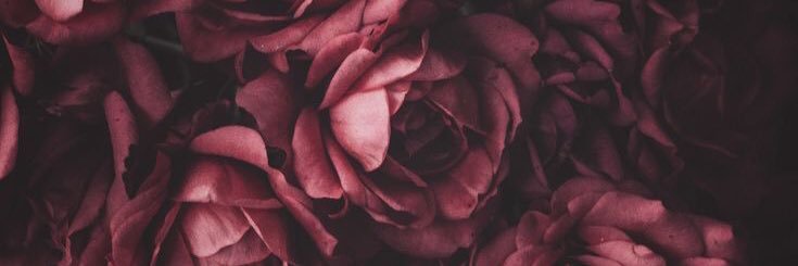 NickieRenee's profile banner image