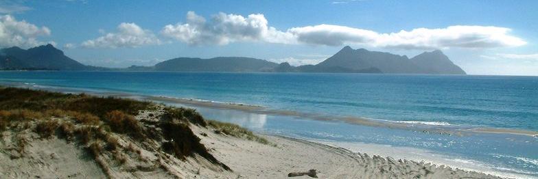 Hannah Cameron banner