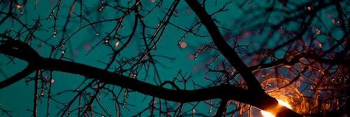 _mariejayne_'s profile banner image