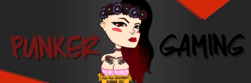 PunkerGaming's profile banner image